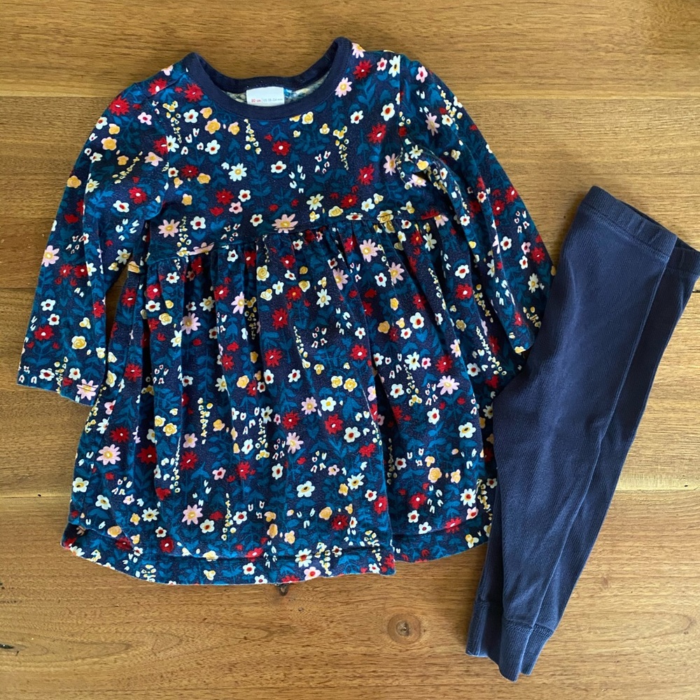 Organic Cotton Hanna Andersson Dress and Leggings